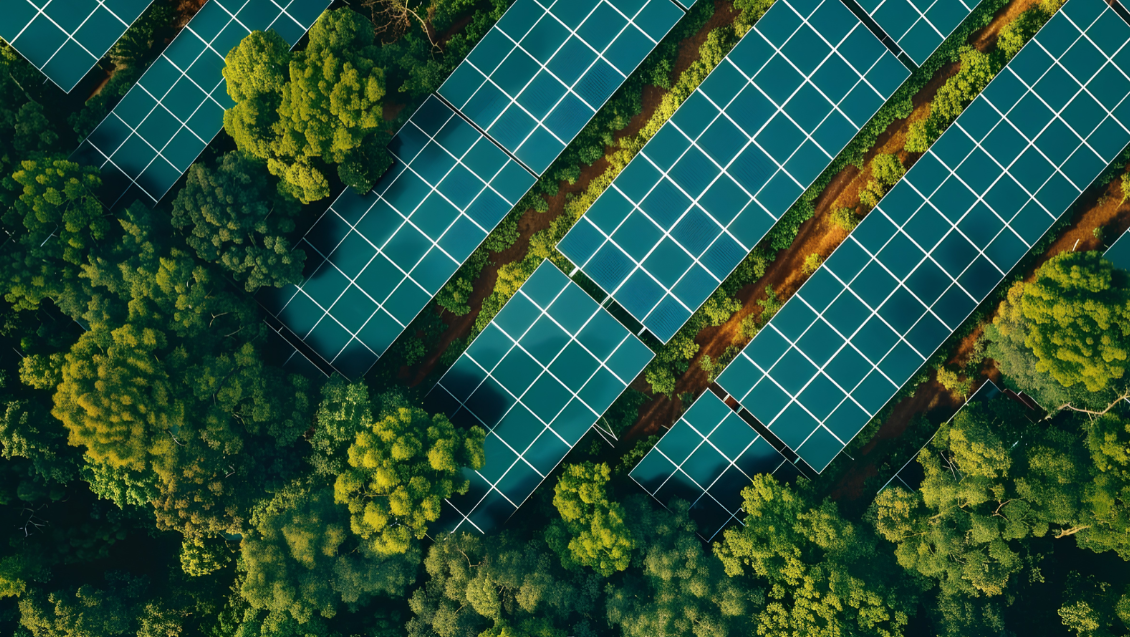 sustainability banner背景